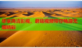 尽享高清影视，蘑菇视频带你畅游无限精彩