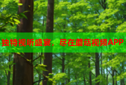 独特视听盛宴，尽在蘑菇视频APP