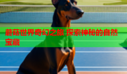 蘑菇世界奇幻之旅 探索神秘的自然宝藏