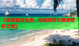 《探索蘑菇世界，短视频带你领略奇妙之旅》