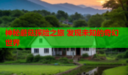 神秘蘑菇探险之旅 发现未知的奇幻世界