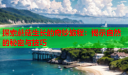 探索蘑菇生长的奇妙旅程：揭示自然的秘密与技巧