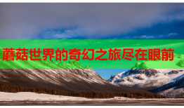 蘑菇世界的奇幻之旅尽在眼前