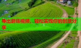 导出蘑菇视频，轻松实现你的创意分享