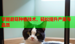 掌握蘑菇种植技术，轻松提升产量与品质