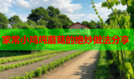家常小鸡炖蘑菇的绝妙做法分享