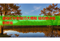 蘑菇钉补胎技巧大揭秘 轻松解决轮胎烦恼