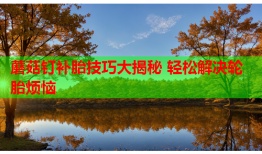 蘑菇钉补胎技巧大揭秘 轻松解决轮胎烦恼