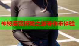 神秘蘑菇探险之旅等你来体验