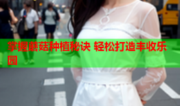 掌握蘑菇种植秘诀 轻松打造丰收乐园
