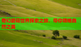 奇幻蘑菇世界探索之旅，带你领略自然之美