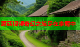 蘑菇视频奇幻之旅尽在掌握中