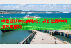 探索蘑菇生长的秘密：轻松掌握种植技巧与技巧