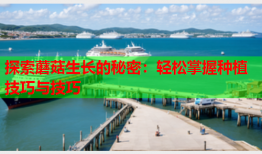探索蘑菇生长的秘密：轻松掌握种植技巧与技巧