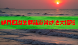 鲜香四溢的蘑菇家常炒法大揭秘