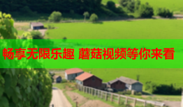 畅享无限乐趣 蘑菇视频等你来看