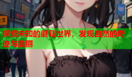 探索未知的蘑菇世界，发现自然的奇迹与美丽