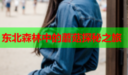 东北森林中的蘑菇探秘之旅