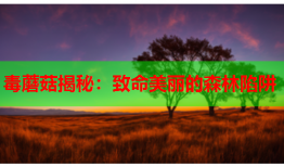 毒蘑菇揭秘：致命美丽的森林陷阱