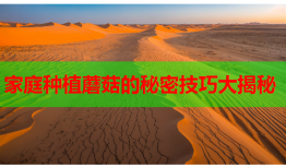 家庭种植蘑菇的秘密技巧大揭秘