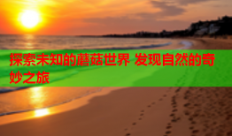 探索未知的蘑菇世界 发现自然的奇妙之旅