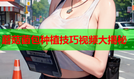 蘑菇菌包种植技巧视频大揭秘