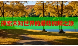 探索未知世界的蘑菇视频之旅
