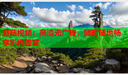 蘑菇视频：高清无广告，随时随地畅享影视盛宴