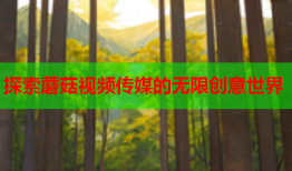 探索蘑菇视频传媒的无限创意世界