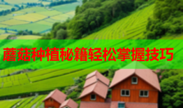 蘑菇种植秘籍轻松掌握技巧