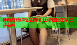 神奇蘑菇种植法揭秘 让你轻松在家收获美味