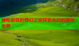 神秘蘑菇的奇幻之旅探索未知的美味世界
