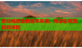 蘑菇视频全新版本来袭，畅享影视剪辑新体验