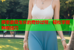 探索蘑菇生长的奇妙过程，轻松掌握种植技巧
