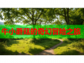 牛小蘑菇的奇幻冒险之旅