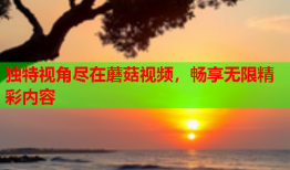 独特视角尽在蘑菇视频，畅享无限精彩内容