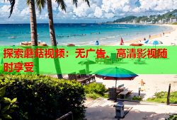 探索蘑菇视频：无广告、高清影视随时享受