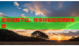 蘑菇视频下载，畅享精彩短视频新体验