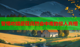 警惕吃错蘑菇竟然会中毒的惊人真相