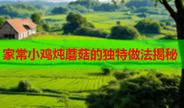家常小鸡炖蘑菇的独特做法揭秘