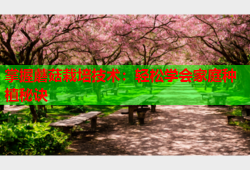 掌握蘑菇栽培技术：轻松学会家庭种植秘诀