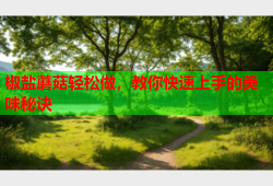 椒盐蘑菇轻松做，教你快速上手的美味秘诀
