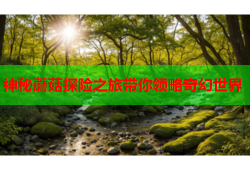 神秘蘑菇探险之旅带你领略奇幻世界