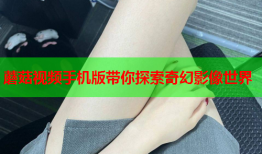 蘑菇视频手机版带你探索奇幻影像世界
