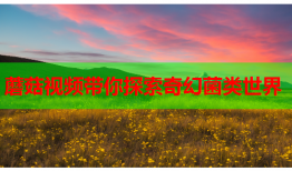 蘑菇视频带你探索奇幻菌类世界