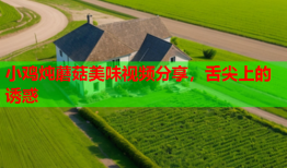 小鸡炖蘑菇美味视频分享，舌尖上的诱惑