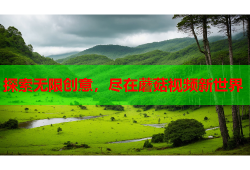 探索无限创意，尽在蘑菇视频新世界