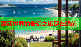 蘑菇世界的奇幻之旅尽在眼前