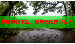 蘑菇视频下载，畅享无限精彩世界