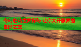 奇幻蘑菇世界探秘 让你大开眼界的自然之旅